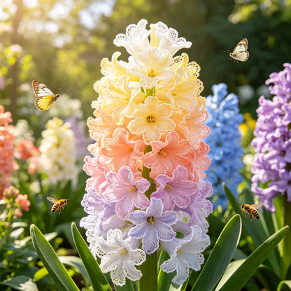 💐Rare Hyacinth Bulbs