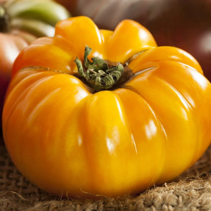 Organic Brandywine Tomato Seeds