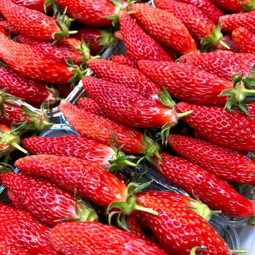 Rare Chili Strawberry Fruit Seeds