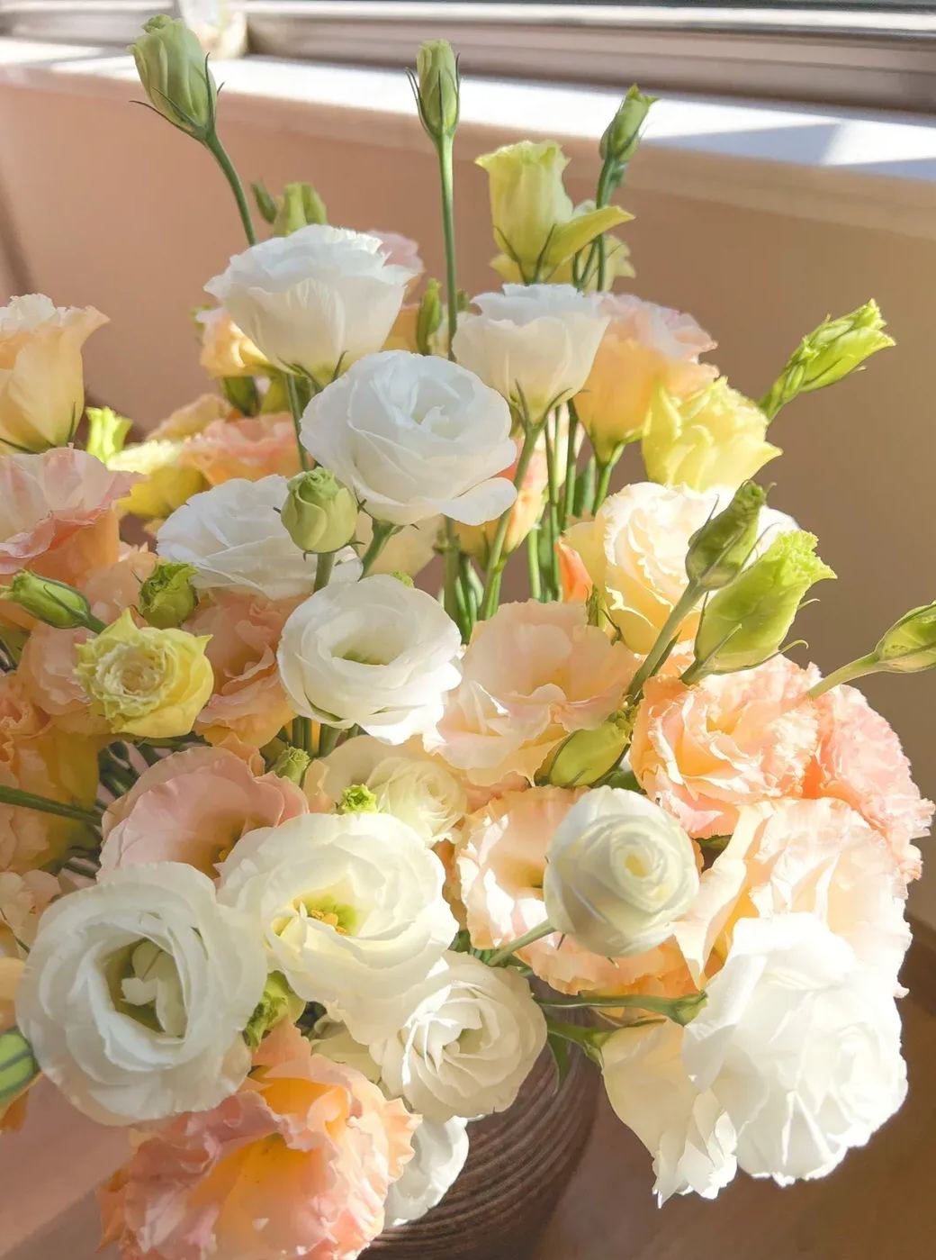 💐Lisianthus – Timeless Beauty, Everlasting Love💫