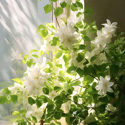 🏆 75K+ SOLD! 🌿❄️ Midnight Perfume Jasmine Seeds