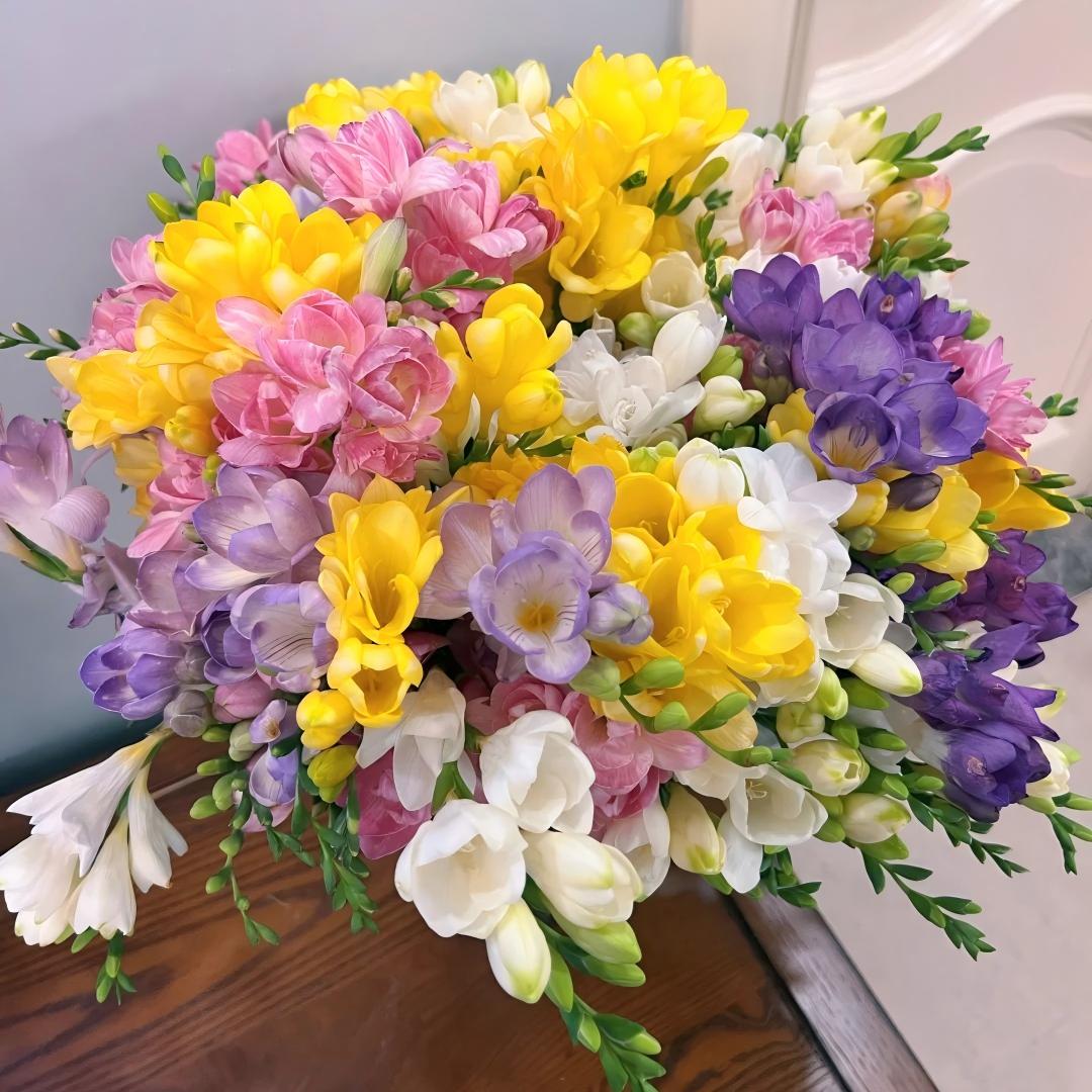 Freesia Bulbs-World-Famous Fragrance