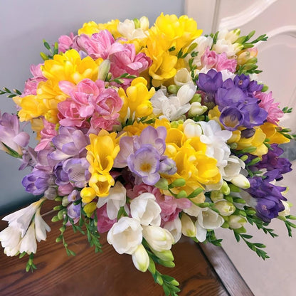 Freesia Bulbs-World-Famous Fragrance