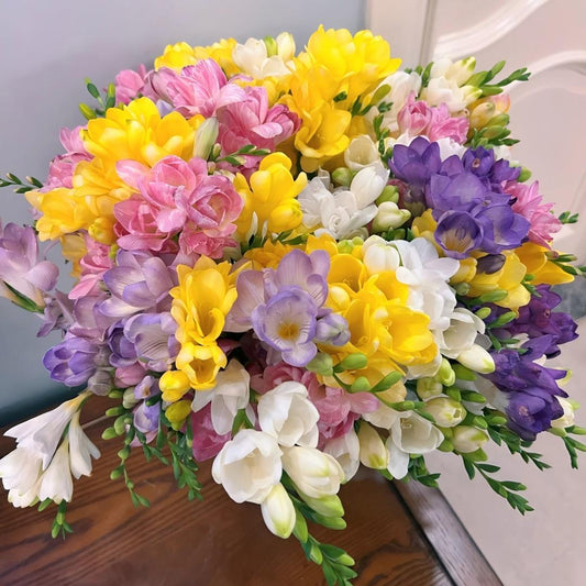 🌷Freesia Bulbs-World Famous Fragrance