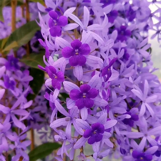💙🩵Blue Flower Vine - Dreamy Blue and Purple Waterfall