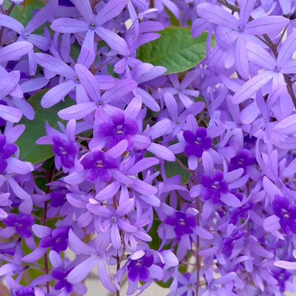 💙🩵Blue Flower Vine - Dreamy Blue and Purple Waterfall