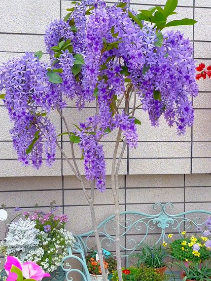 💙🩵Blue Flower Vine - Dreamy Blue and Purple Waterfall